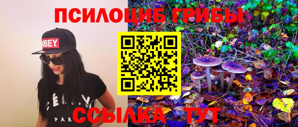 Псилоцибиновые грибы Cubensis Дюртюли